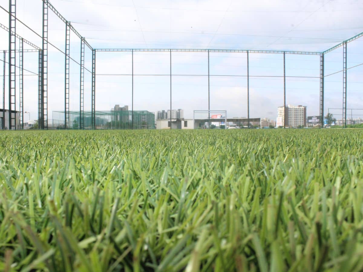 Turf at Sportsage