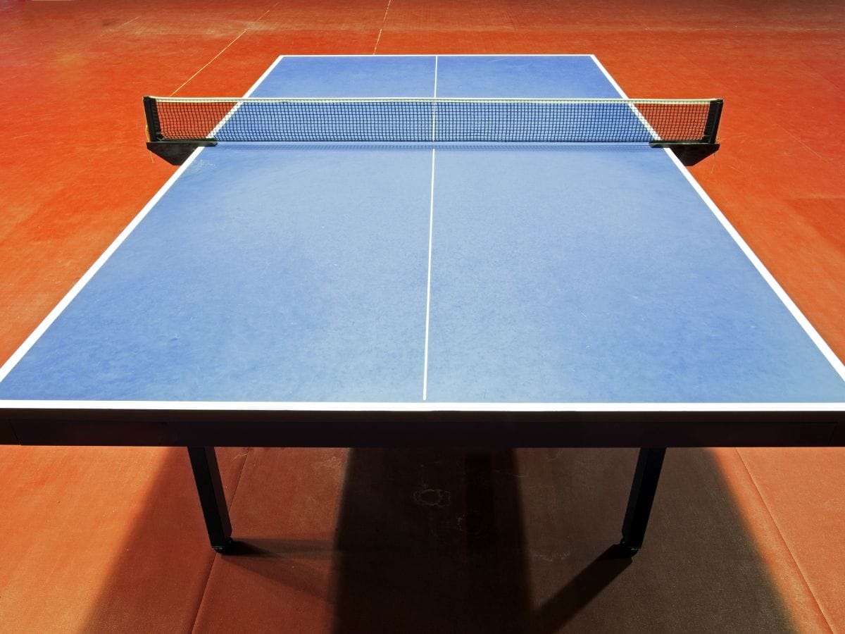 Table Tennis at Sportsage